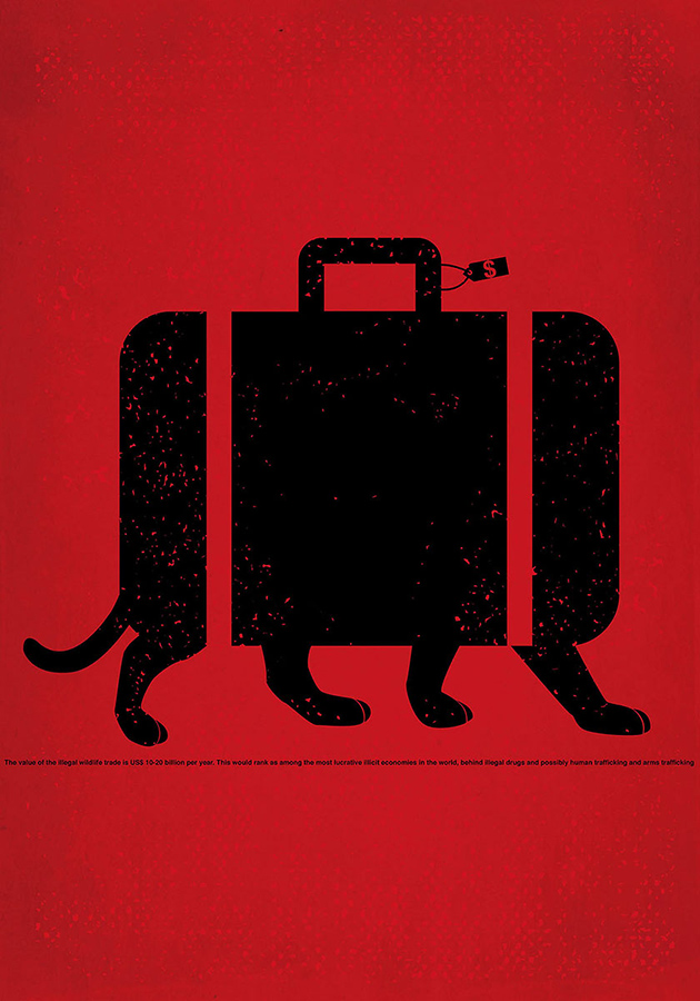 EXCESS BAGGAGE / 2014